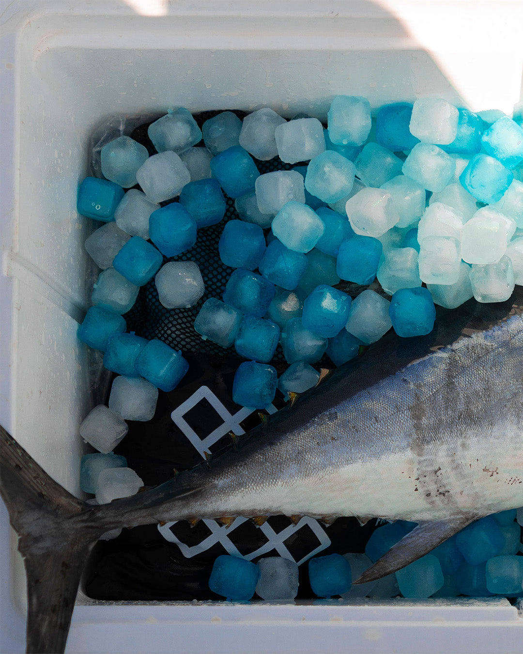 Mini Freeze Blue - 1.8kg Bag