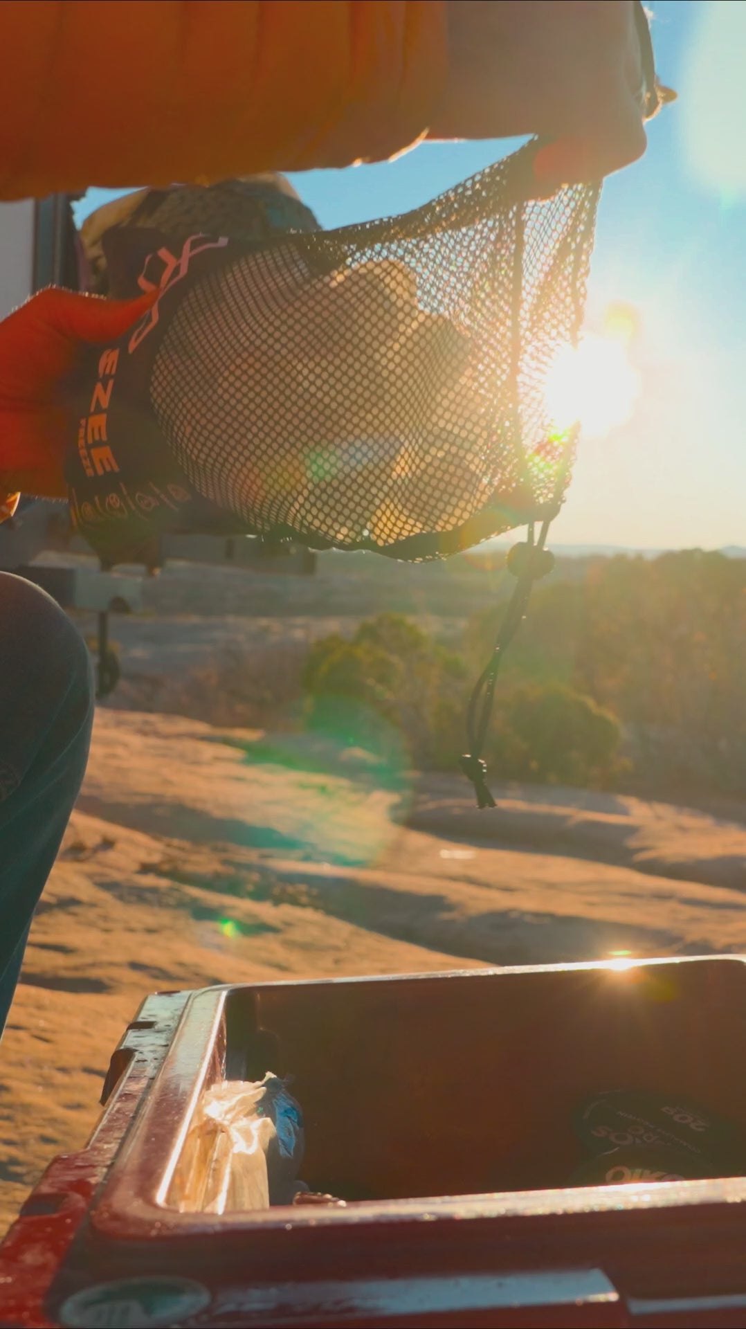 Load video: close up of fish under water